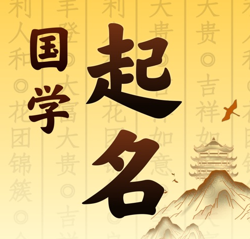 亭湖国学起名 人工起名一对一